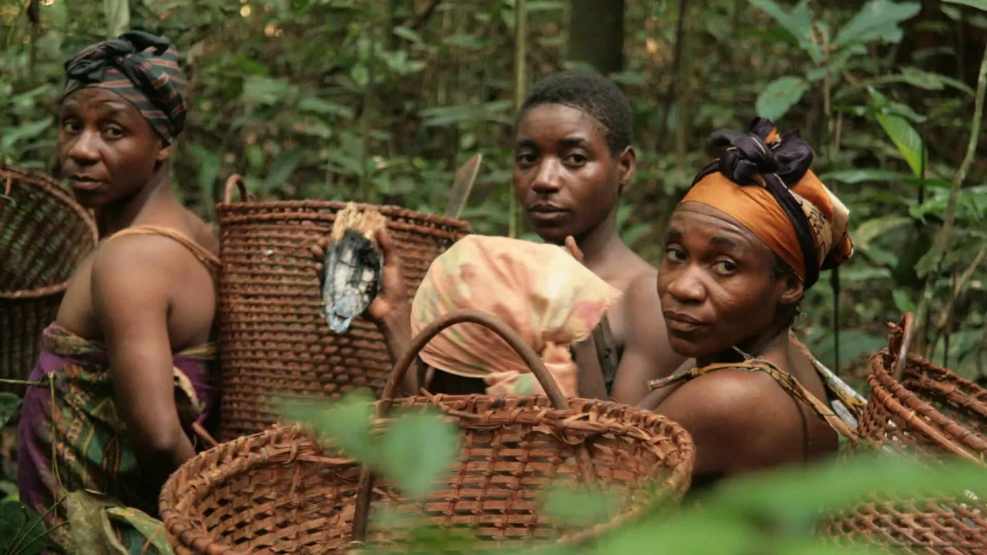 Cameroon Tourist eVisa for Nepalese Citizens