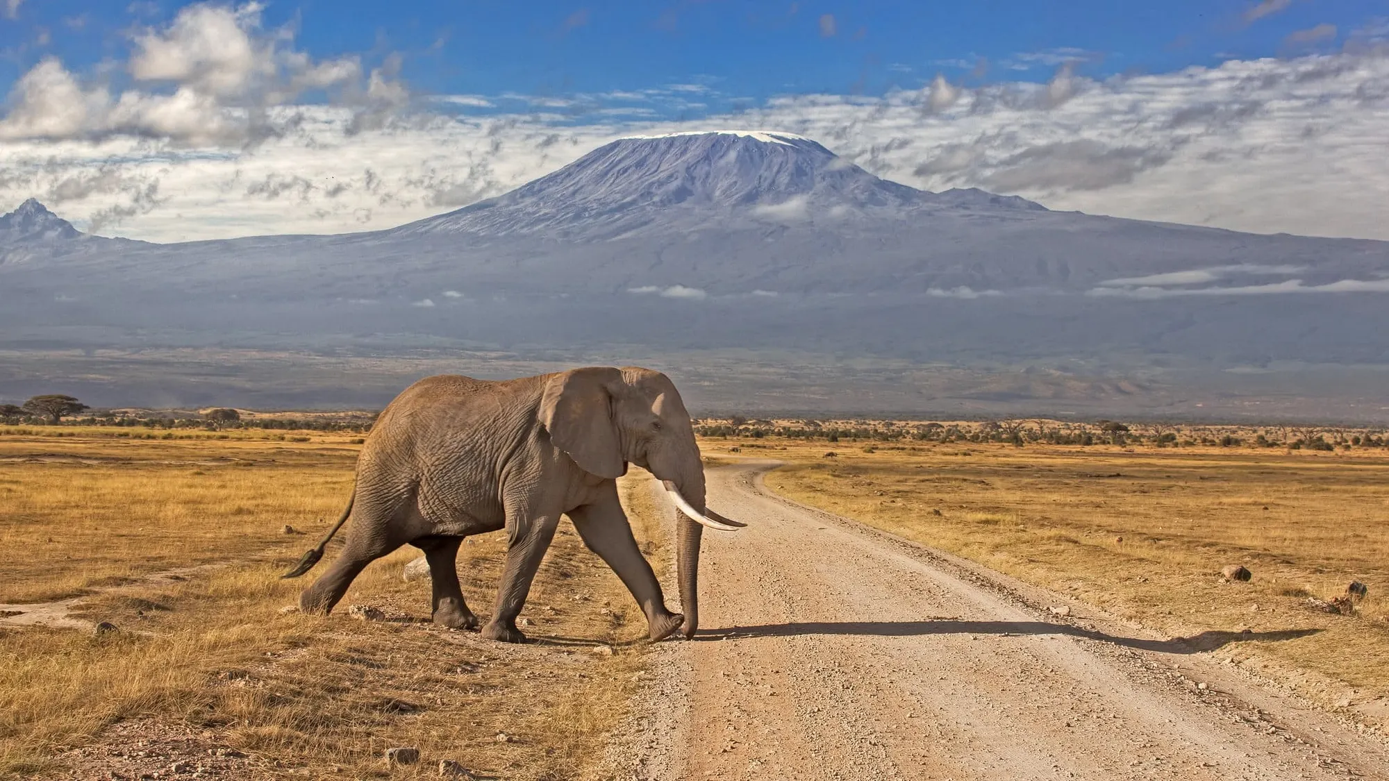 Kenya Tourist eVisa for Nepalese Citizens