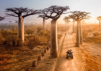 Madagascar Tourist eVisa for Nepalese Citizens