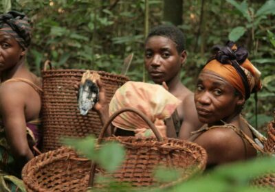 Cameroon Tourist eVisa for Nepalese Citizens