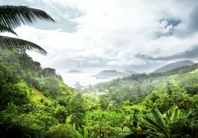 Equatorial Guinea Tourist eVisa for Nepalese Citizens